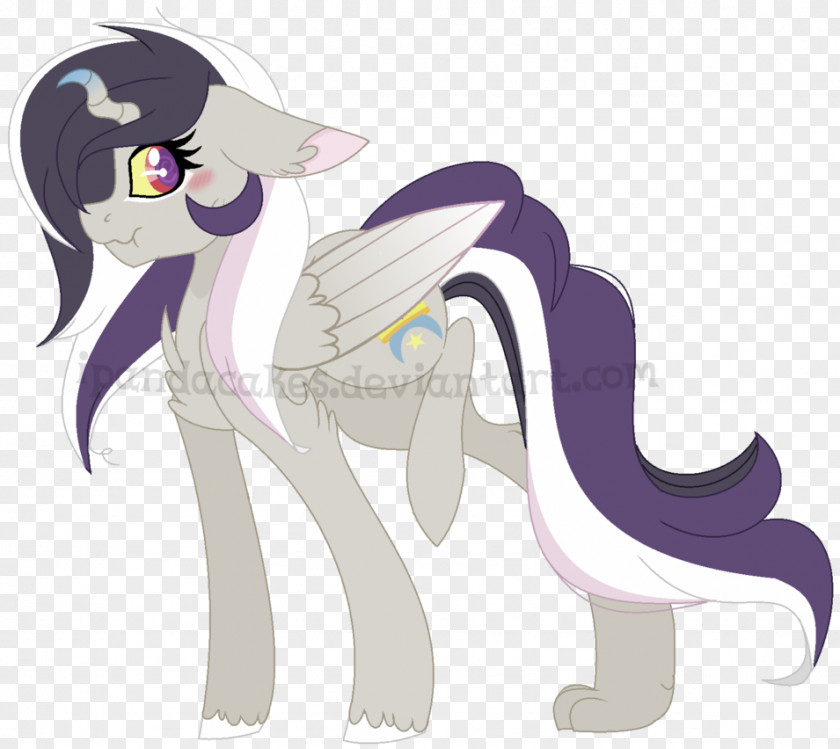 Cat Pony Horse Dog Canidae PNG