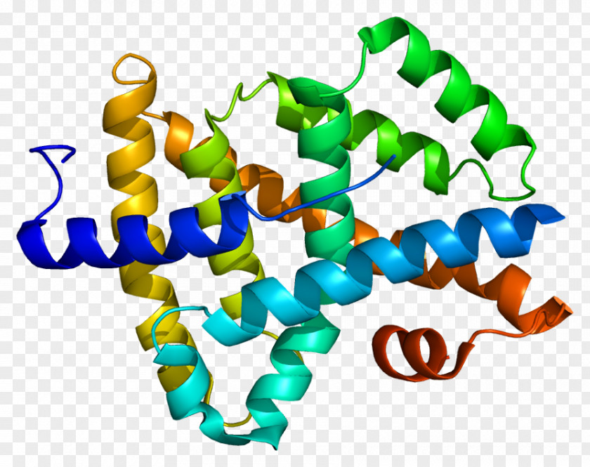 Farnesoid X Receptor Nuclear Bile Acid Fexaramine PNG