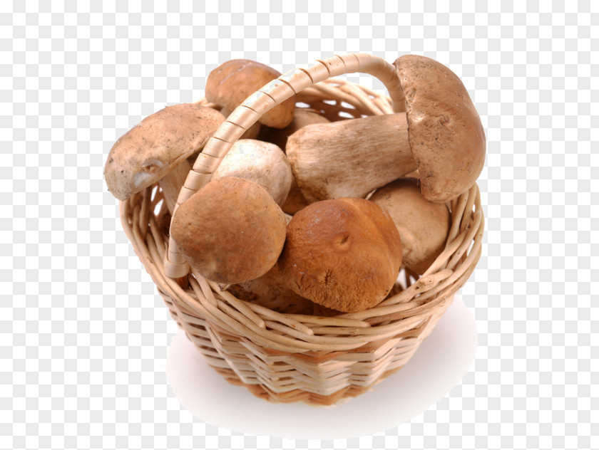 Mushroom Clip Art Shiitake Basket PNG