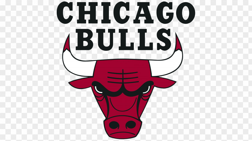 Nba 2018–19 Chicago Bulls Season Logo NBA Basketball PNG