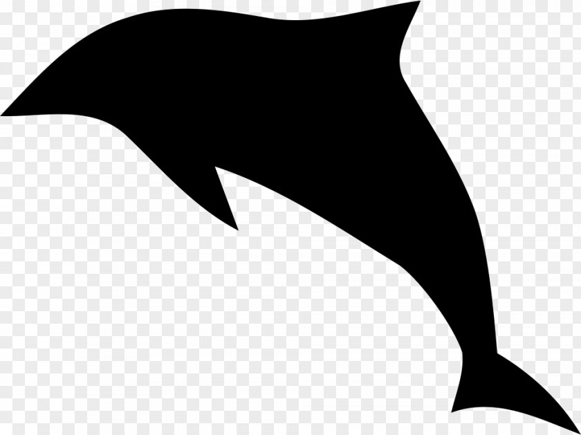 Tail Killer Whale Cartoon PNG