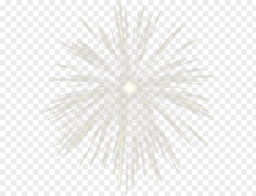 White Fireworks Blog 0 1 Sea Month PNG