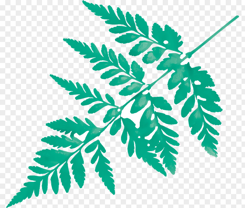 Branch Plant Stem Leaf Line Plants PNG