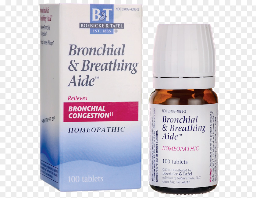 Bronchial Asthma Acute Bronchitis Bronchus Food Bank PNG