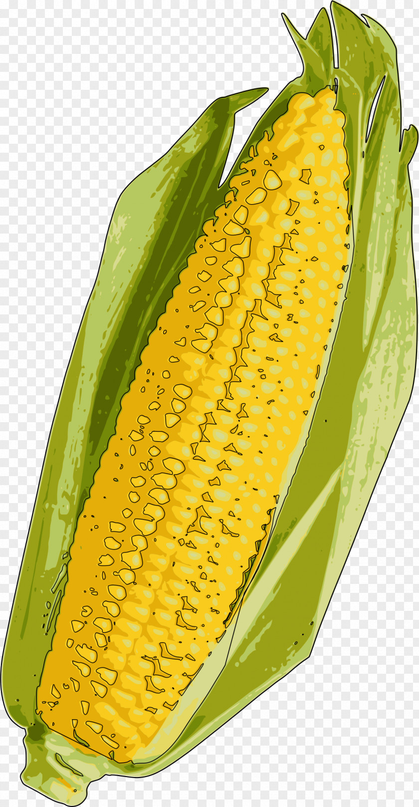 Corn On The Cob Popcorn Candy Flakes Maize PNG