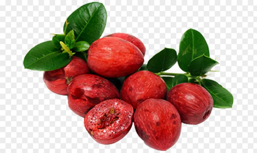 Juice Natal Plum Fruit Carissa Carandas Shrub PNG