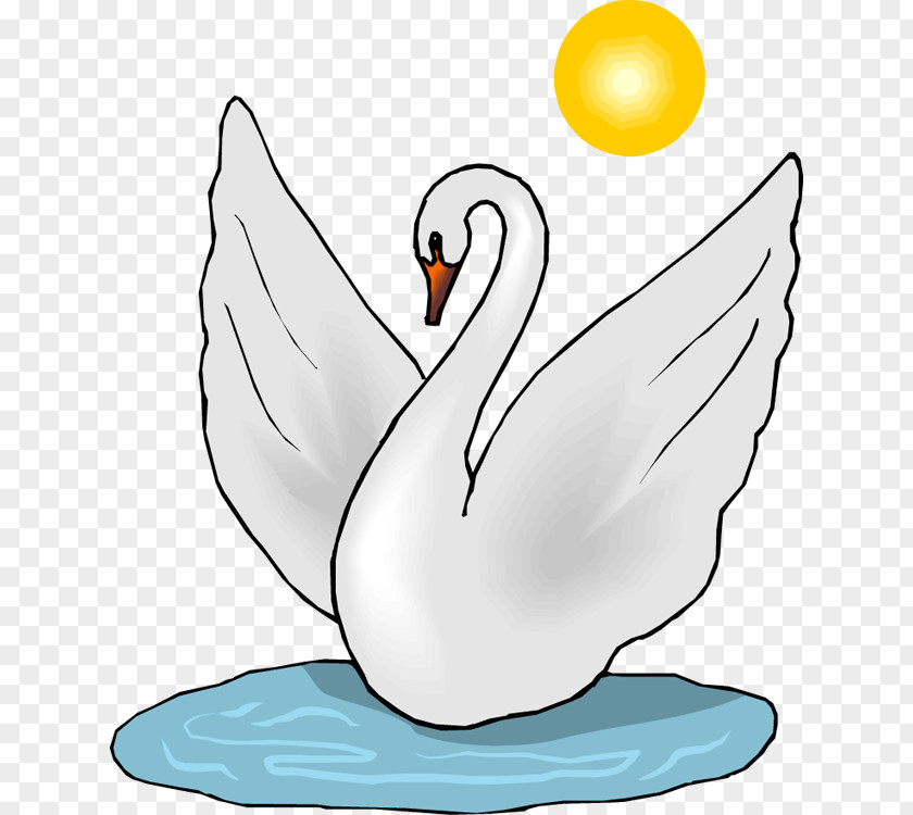 Swan Black Whooper Bird Clip Art PNG