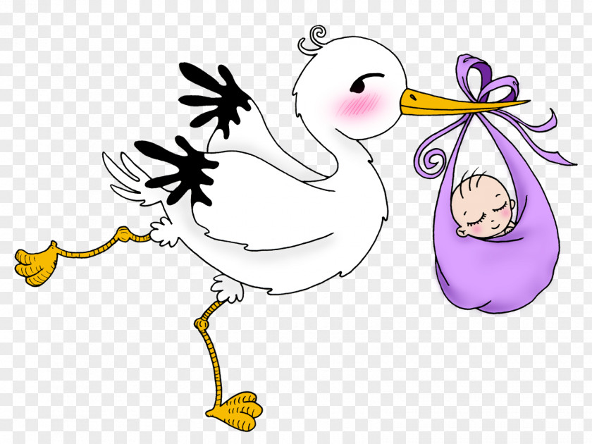 Baby Shower Drawing Clip Art PNG