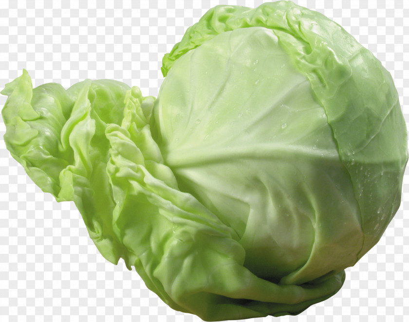 Cabbage Image Red Cauliflower Vegetable PNG