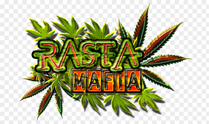 Cannabis Hemp Hashish Illegal Drug Trade PNG