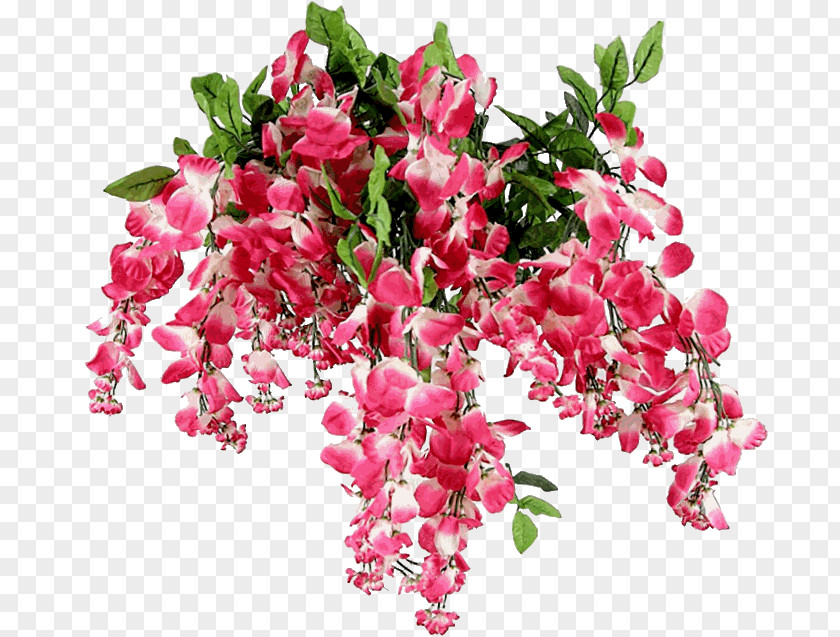 Daphne Perennial Plant Sweet Pea Flower PNG