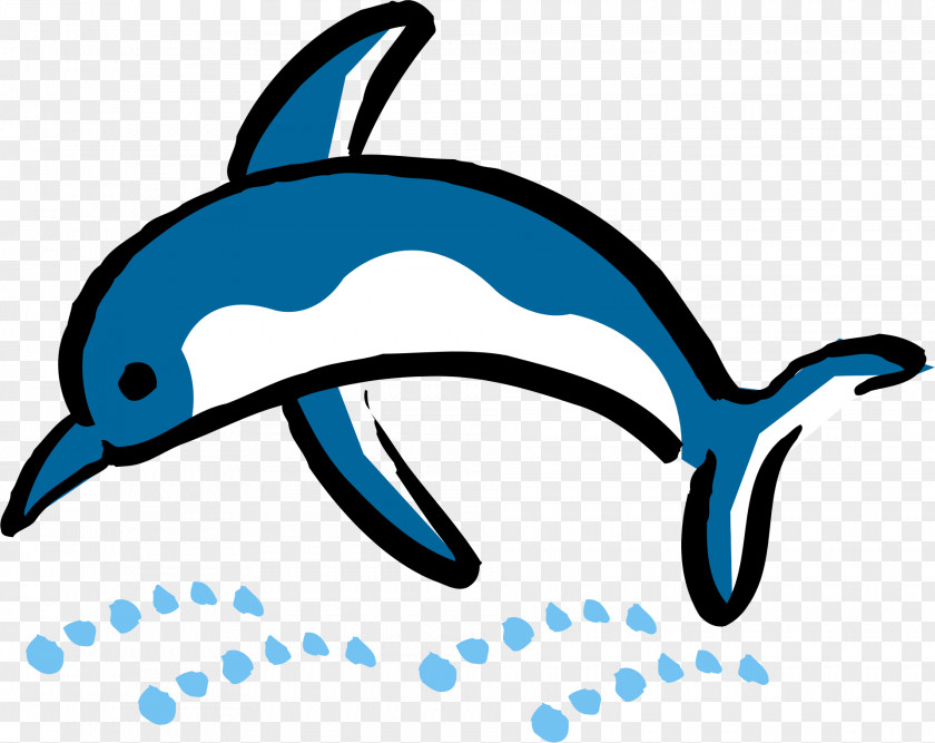 Dolphin Vector Material Clip Art PNG