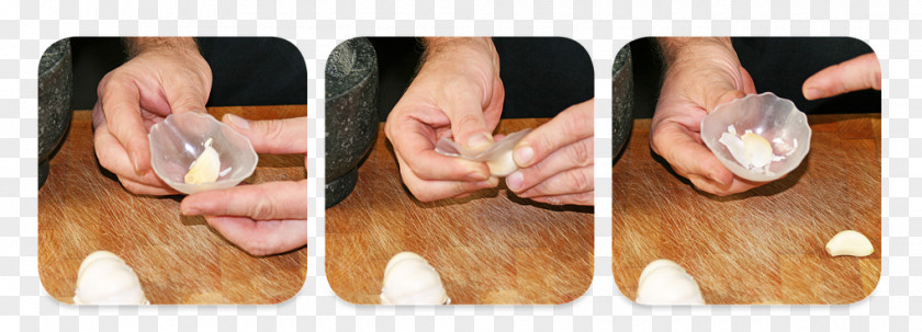 Garlic Clove Thumb Wood /m/083vt PNG