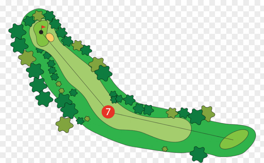 Golf Course Par Tees Wood PNG