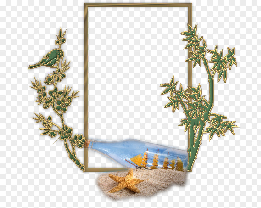 Kerze Clipart Internet Forum Picture Frames PNG