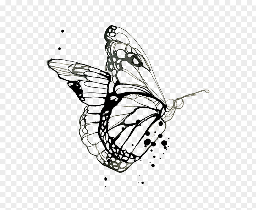 Monarch Butterfly Drawing Design Coloring Book Tattoo PNG