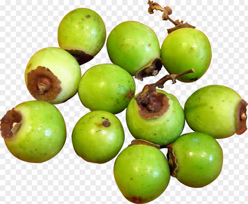 Shrove Tuesday Top-Op Foods Ltd Cluster Fig Vegetable Fruit PNG