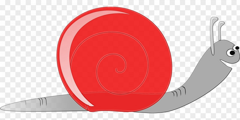 Snails And Slugs Red Circle PNG
