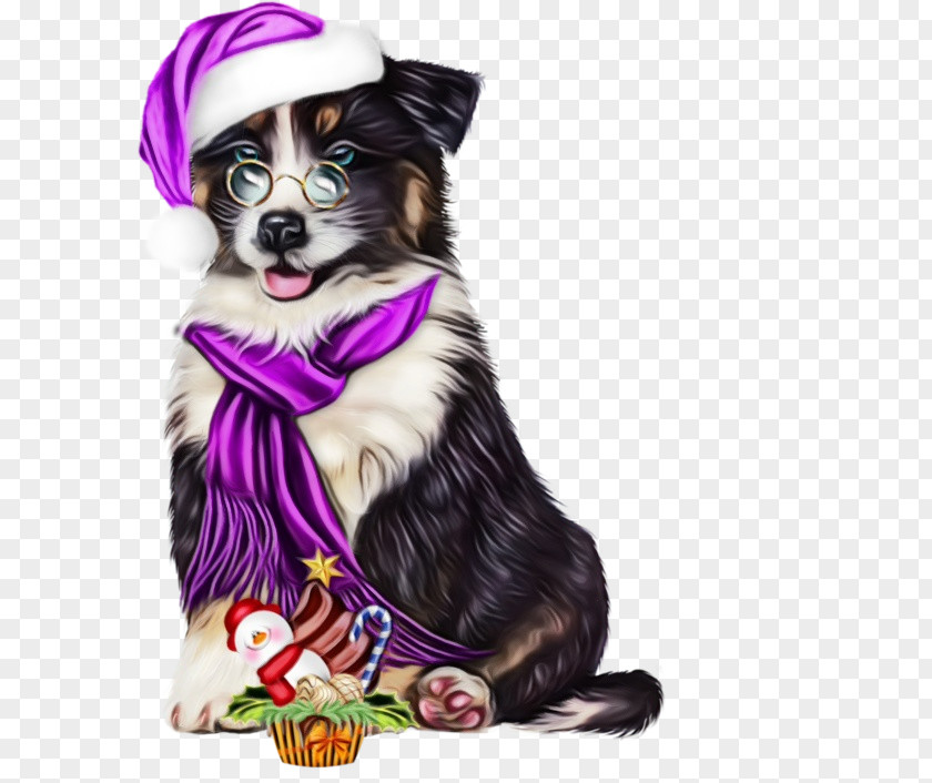 Border Collie PNG