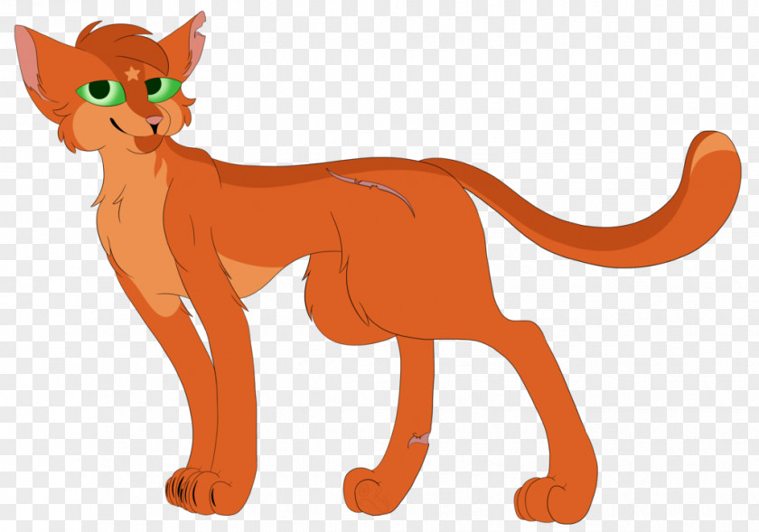 Cat Whiskers Lion Red Fox Macropods PNG