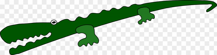 Crocodile Alligator Cartoon Clip Art PNG