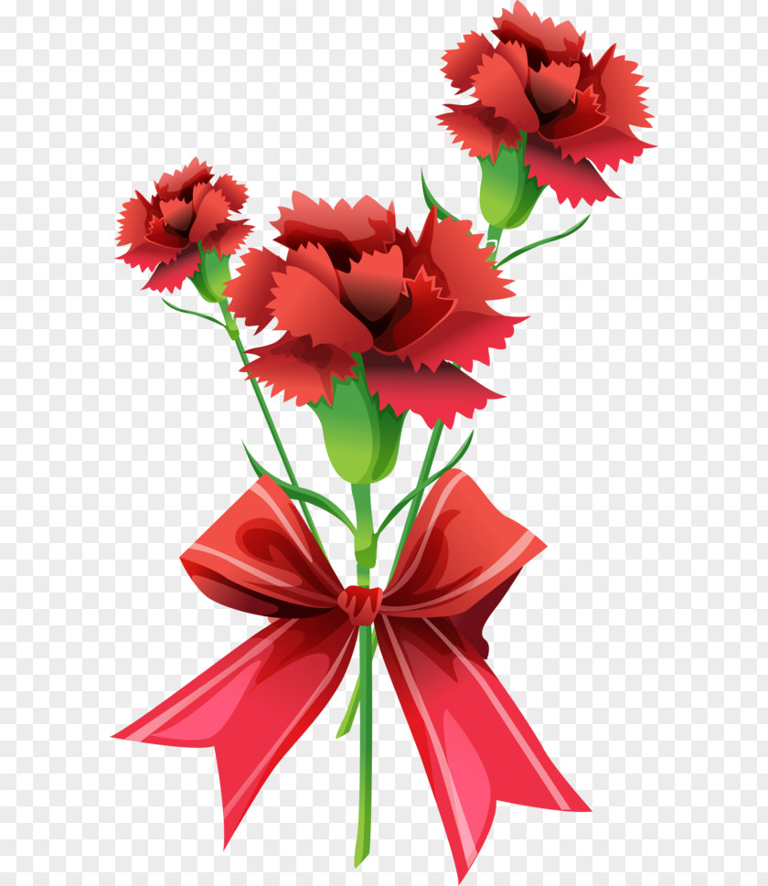 Flower Clip Art Carnation JPEG PNG