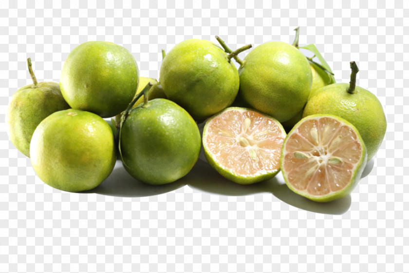 Lime Key Persian Sweet Lemon Lemonade PNG