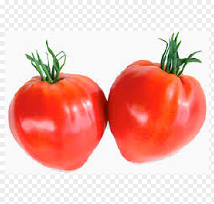 Matur Plum Tomato Bush Cherry Beefsteak Seed PNG