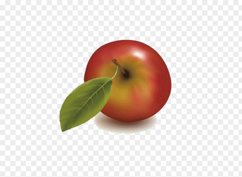 Red Apple Fruit Free Content Clip Art PNG