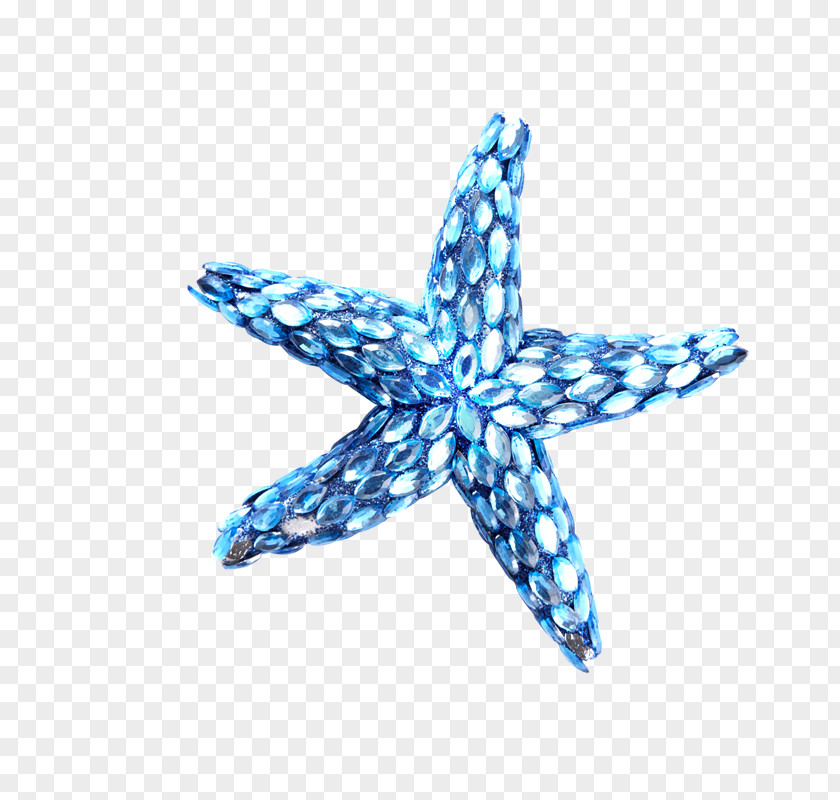 Starfish Blue Drawing PNG