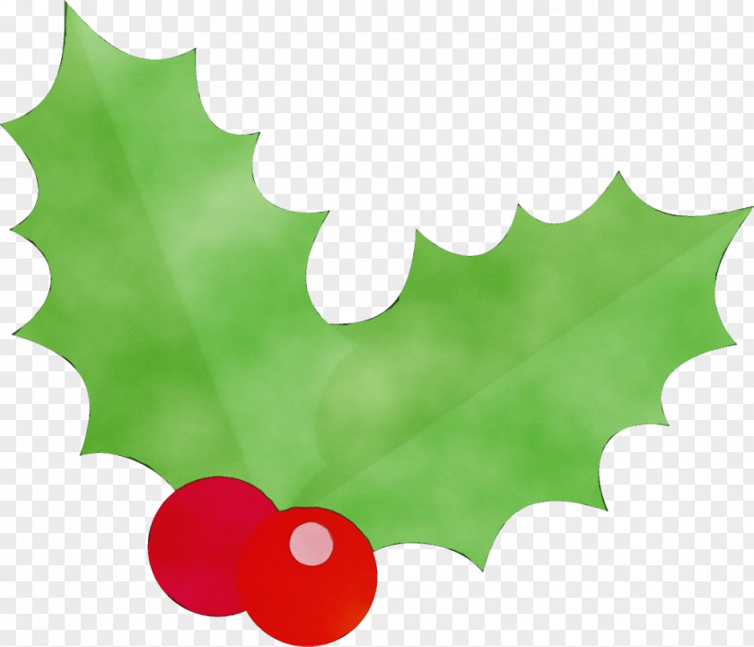 Tree Plant Holly PNG