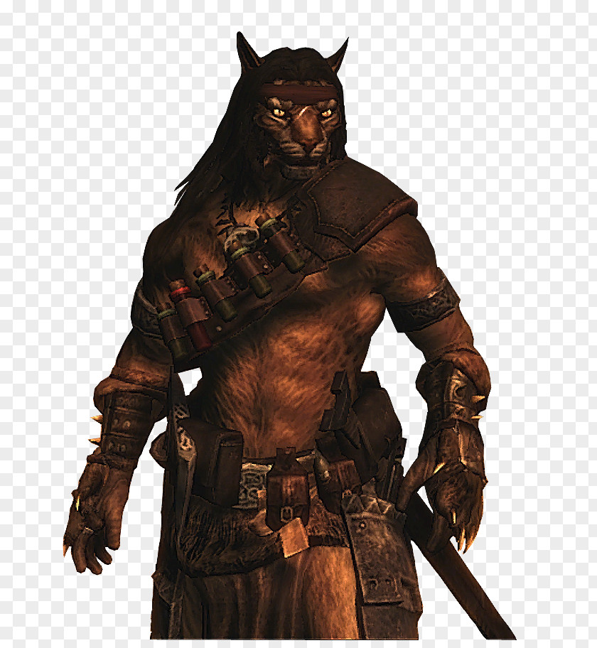 Werewolf Kill The Elder Scrolls V: Skyrim Dungeons & Dragons Pathfinder Roleplaying Game Role-playing Player Character PNG
