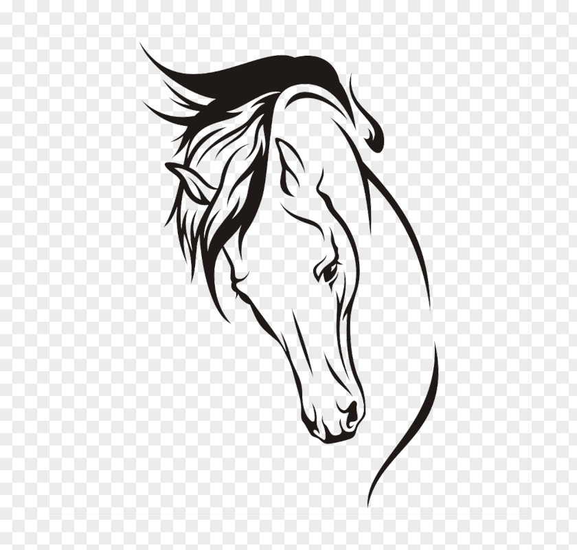 Horse How To Draw A Drawing Sketch PNG