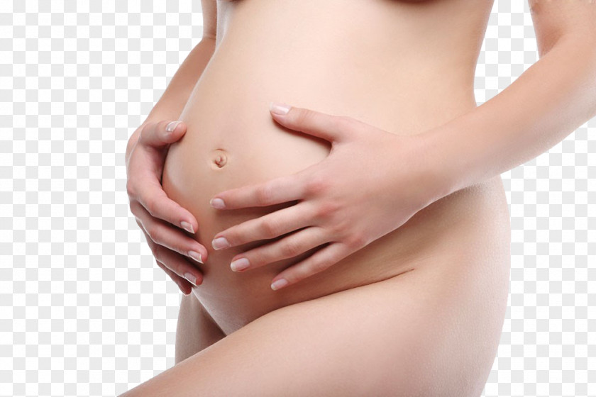 Pregnant Woman,belly,pregnancy,Mother,Pregnant Mother Pregnancy Abdomen Woman Placenta PNG