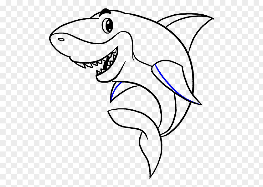 Shark Drawing Cartoon Clip Art PNG