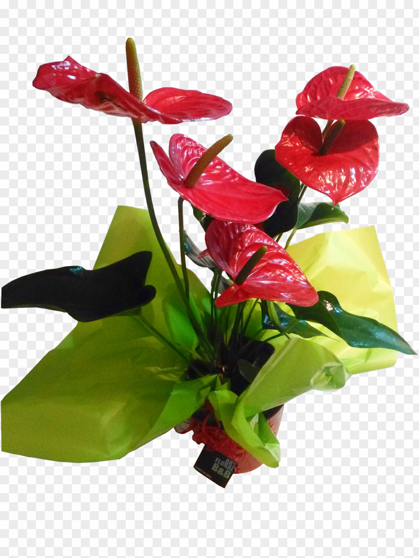 Anthurium Andraeanum Floral Design Cut Flowers Flower Bouquet Vase PNG