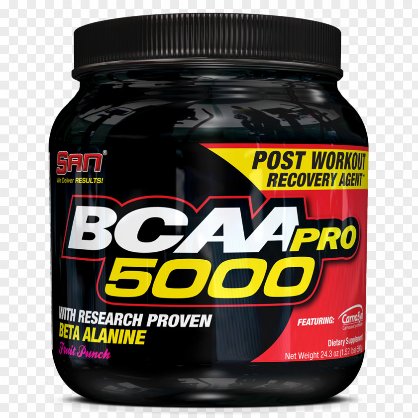 Bcaa Creatine Bodybuilding Supplement Nutrition Glutamine Leucine PNG