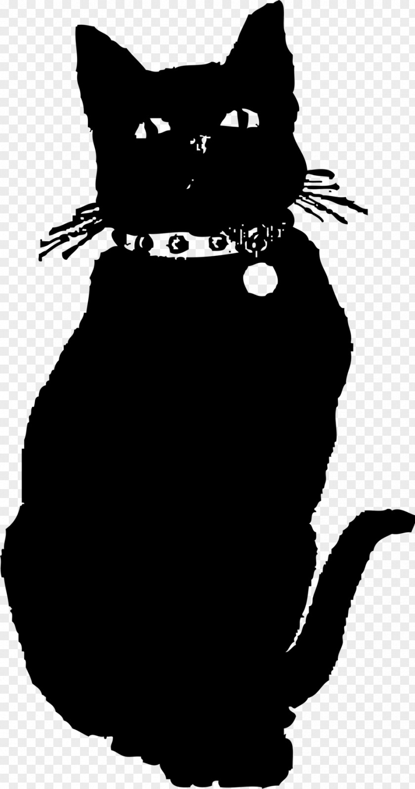 Blackandwhite Whiskers Cat Silhouette PNG