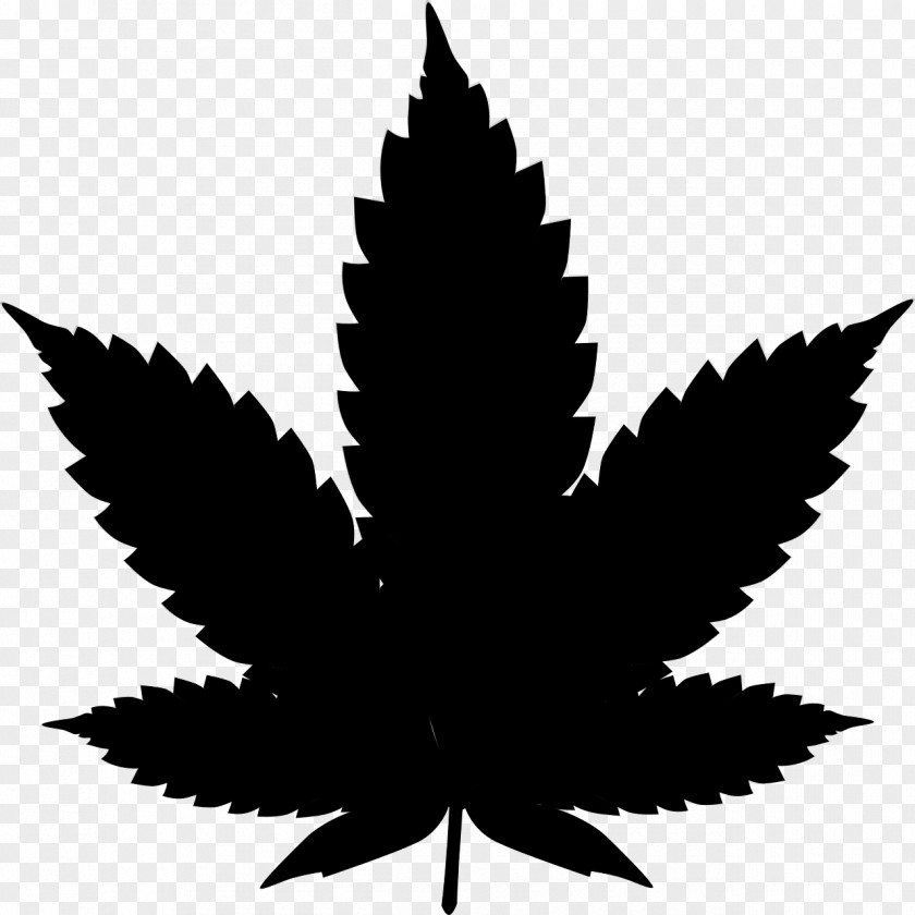 Cannabis Sativa Clip Art Tea PNG