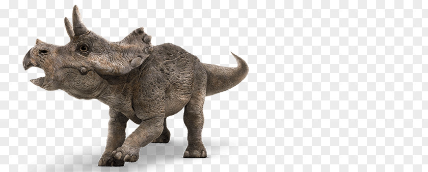 Jurassic Park Baby Triceratops Tyrannosaurus Apatosaurus Velociraptor PNG