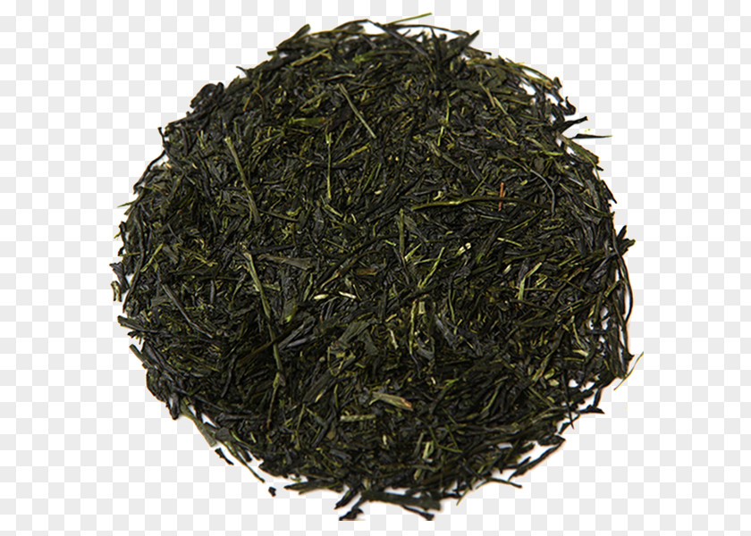 Rich Yield Gyokuro Sencha Oolong Darjeeling White Tea PNG