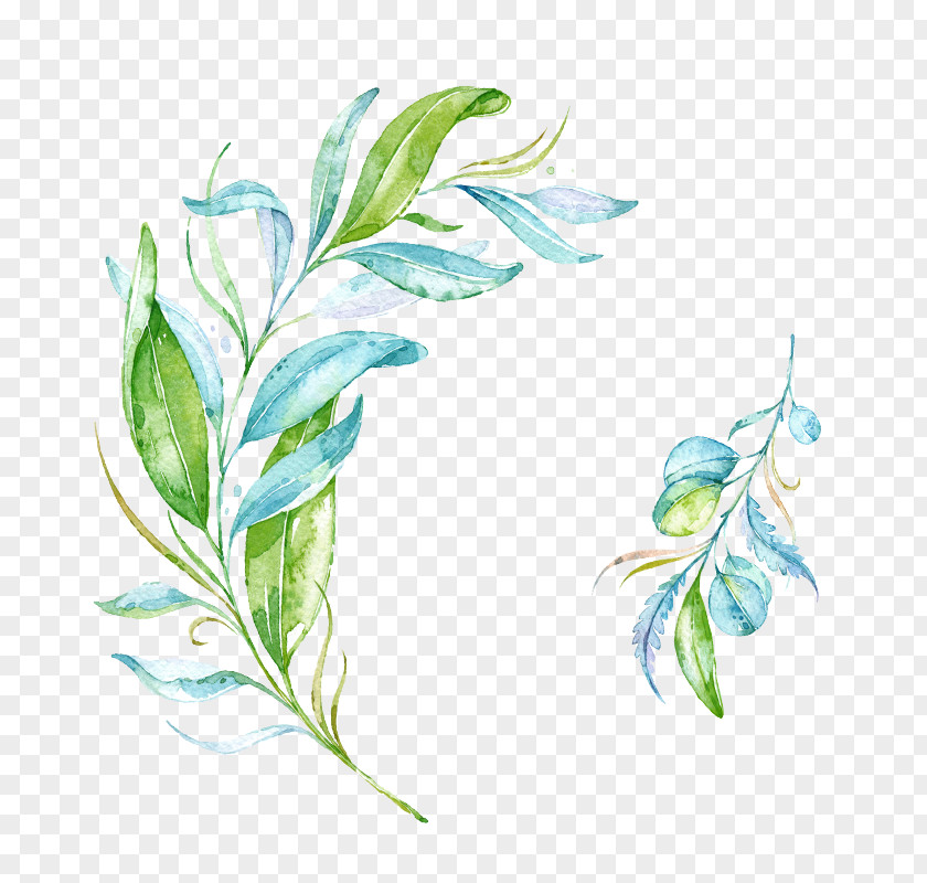Blue And Green Hand Painted Watercolor Wicker Branches Leaf PNG