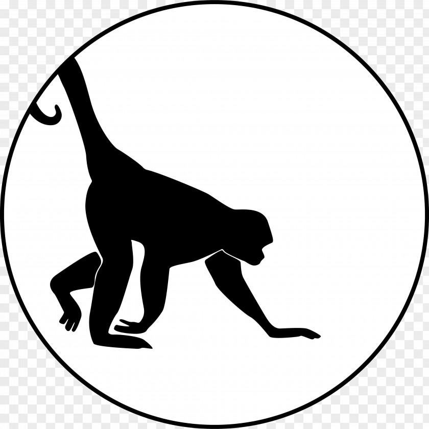 Cat Silhouette Primate Clip Art Vector Graphics PNG