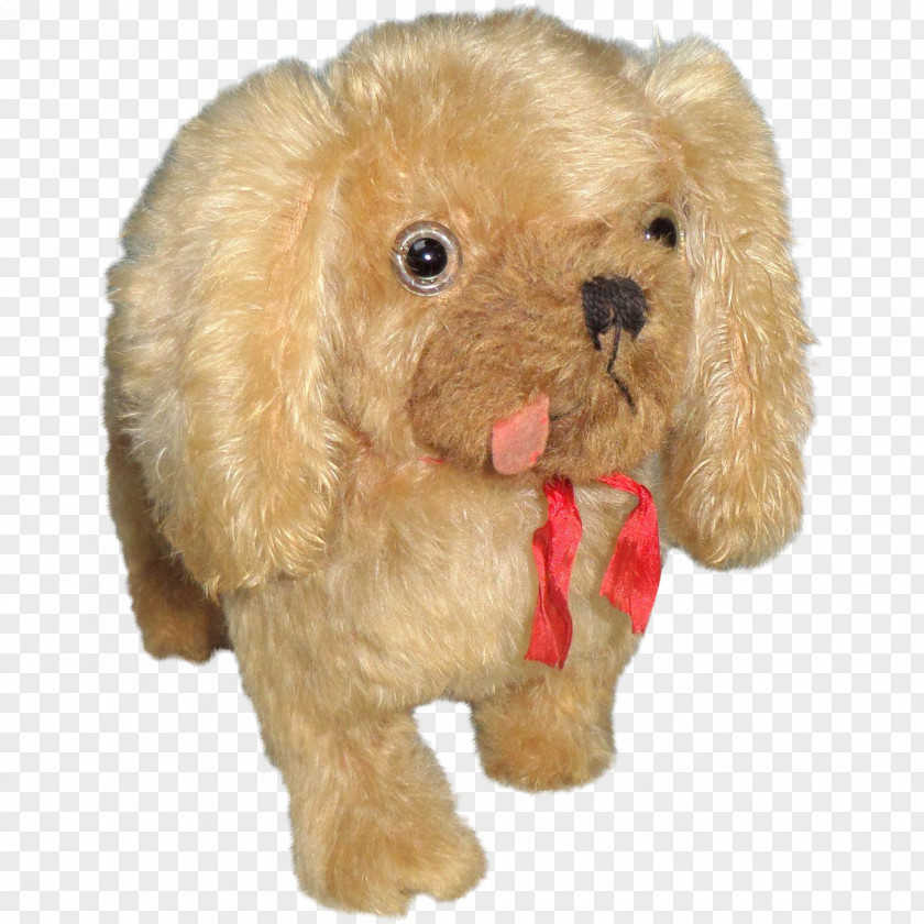 Cat Toy Poodle American Cocker Spaniel Bear PNG
