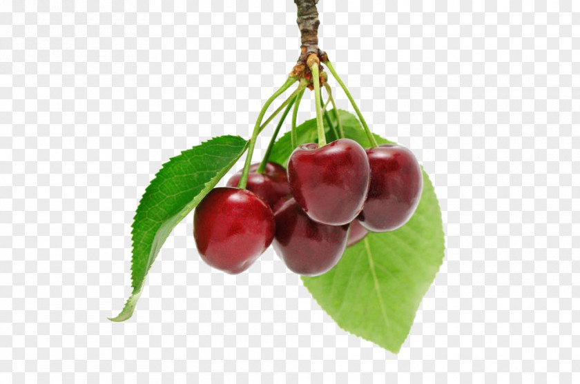 Cherry Fruit Download Berry PNG