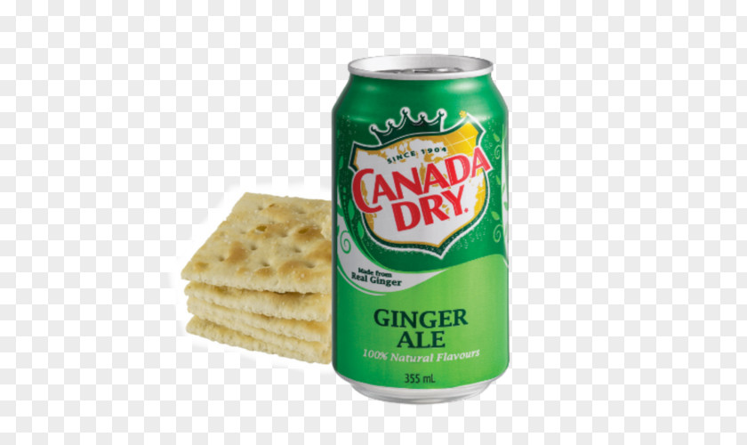 Drink Ginger Ale Fizzy Drinks Carbonated Water Mixer Canada Dry PNG