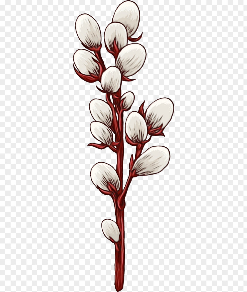 Flower Plant Pedicel Petal Stem PNG