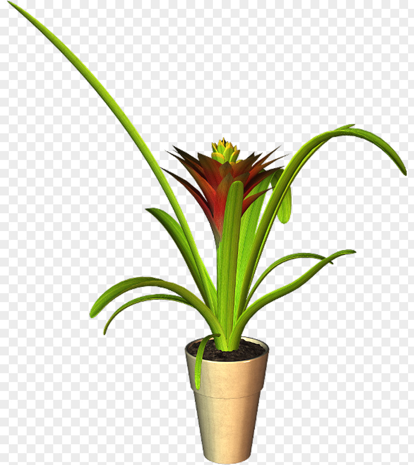 Flowerpots Ornament Cut Flowers Flowerpot Plant Stem Houseplant Plants PNG