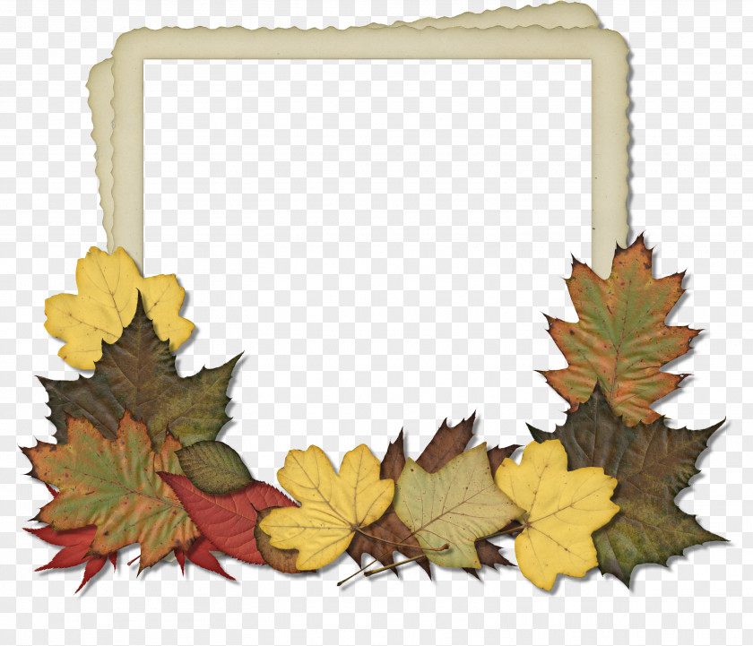 Leaf Frame Picture Frames Autumn Scrapbooking Clip Art PNG