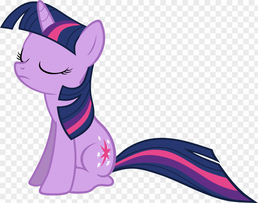 Sparkle Twilight The Saga Pinkie Pie Rainbow Dash Pony PNG